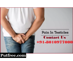 Testicle pain specialist doctor in Tilangpur Kotla | +91-8010977000|